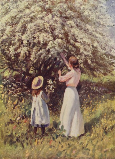 May Blossom by English School